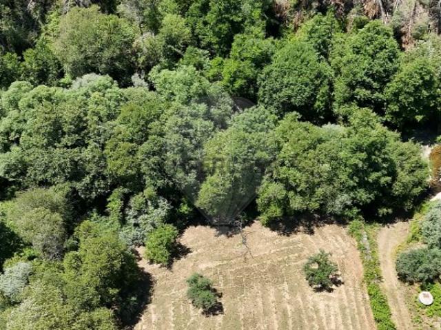 Terreno venda em Castelo Branco, Aldeia Nova Do Cabo