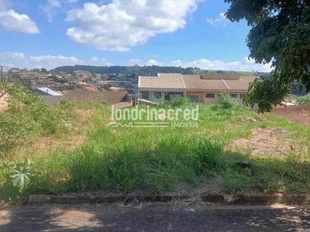 Terreno venda em Região Geográfica Imediata de Londrina, Assaí