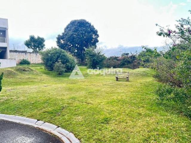 Terreno venda em Jardim San Diego, Ponta Grossa