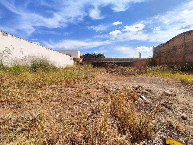 Terreno aluguel em Vila Nova, Araçatuba