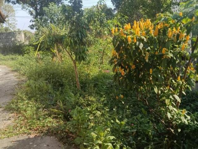Terreno venda em Jardim Mangalot, São Paulo