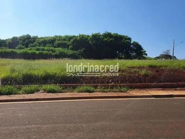 Terreno venda em Região Geográfica Imediata de Londrina, Londrina