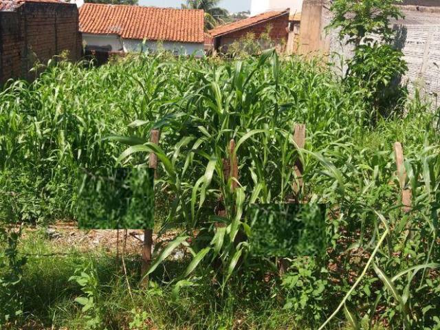 Terreno venda em Alto do Silvares, Birigui