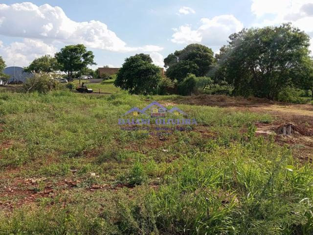 Terreno venda em Região Geográfica Imediata de Santo Antônio da Platina, Cambará