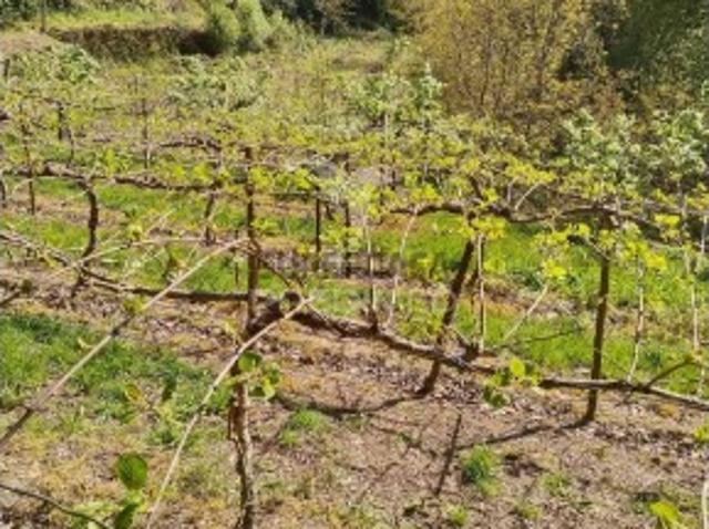 Terreno venda em Felgueiras, Porto