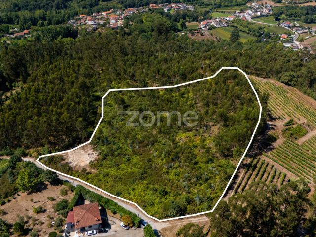 Terreno venda em Felgueiras, Porto