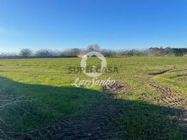 Terreno venda em Junqueira, Vila Do Conde