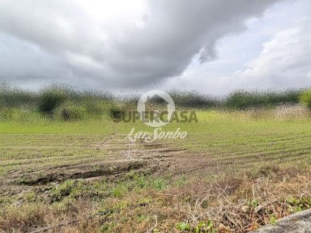 Terreno venda em Junqueira, Vila Do Conde