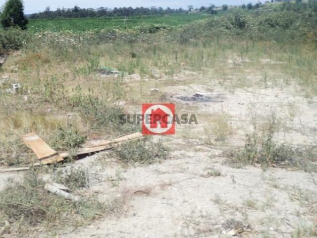 Terreno venda em Junqueira, Vila Do Conde