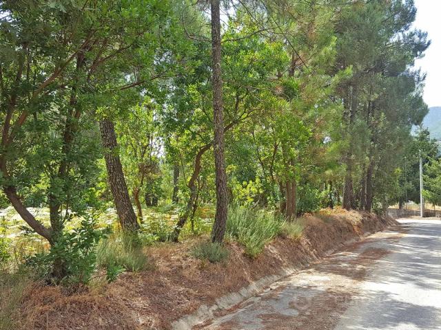 Terreno venda em Lalim, Lamego