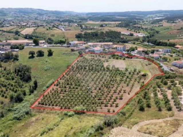 Terreno venda em Cadaval Terreno venda em Cadaval