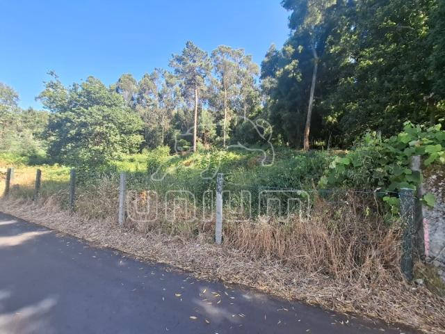 Terreno venda em Arga De Baixo, Viana Do Castelo