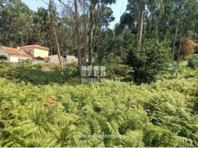 Terreno venda em Corredora, Viana Do Castelo