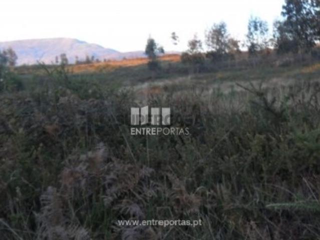 Terreno venda em Balteiro, Viana Do Castelo