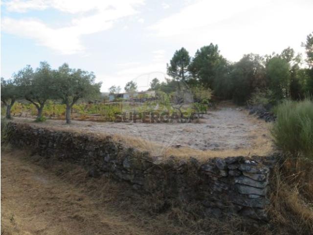 Terreno venda em Torre De Moncorvo, Bragança