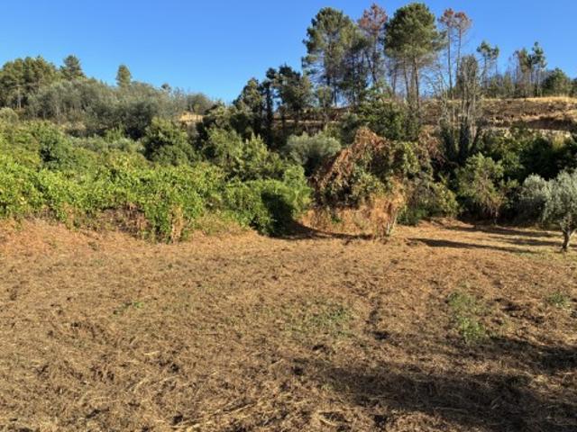 Terreno venda em Lavacolhos, Fundão
