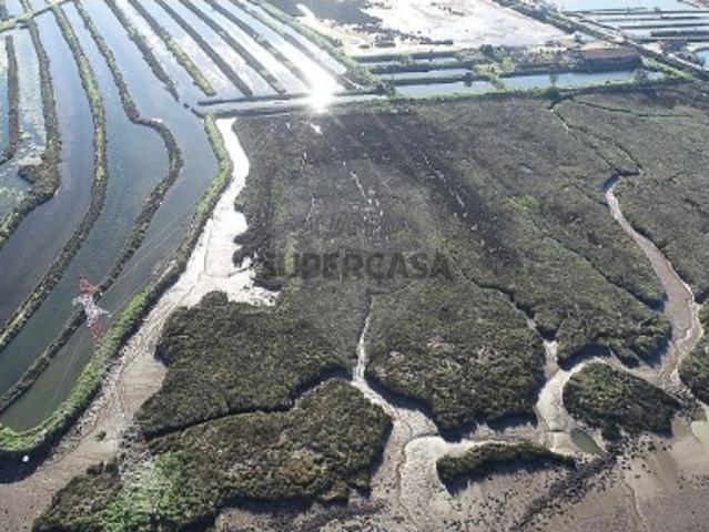 Terreno venda em Parque Industrial da Figueira da Foz, Figueira da Foz