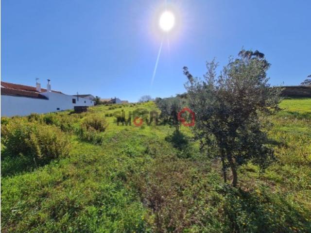 Terreno venda em Leiria