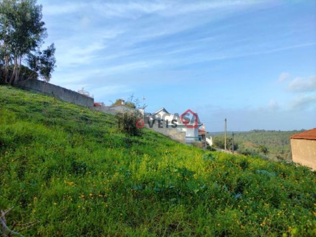 Terreno venda em Leiria