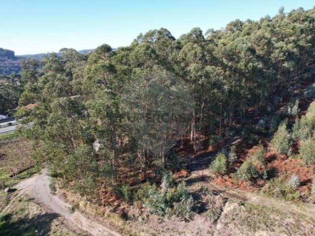 Terreno venda em Guimarães, Braga