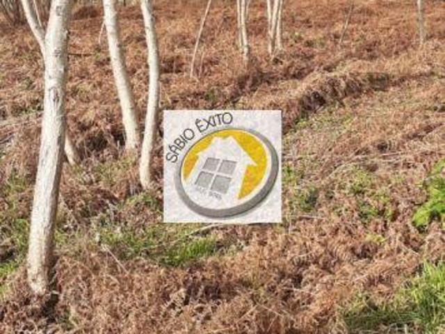 Terreno venda em Santa Maria Da Feira, Aveiro