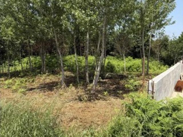Terreno venda em Santa Maria Da Feira, Aveiro