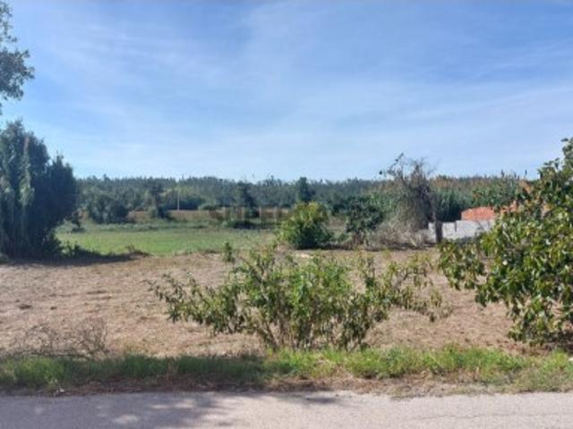 Terreno venda em Souto de Carpalhosa, Leiria