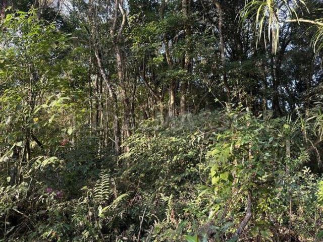 Terreno venda em Região Imediata de Sorocaba, Região Metropolitana de Sorocaba