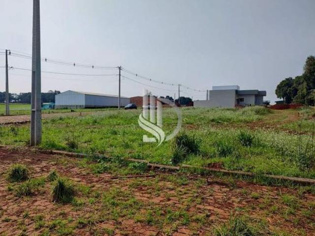 Terreno venda em Região Geográfica Imediata de Cruz Alta, Quinze de Novembro