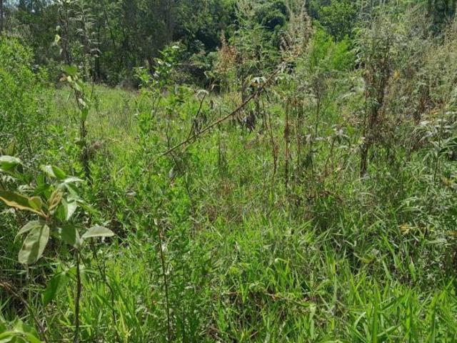 Terreno venda em Região Imediata de Sorocaba, Região Metropolitana de Sorocaba