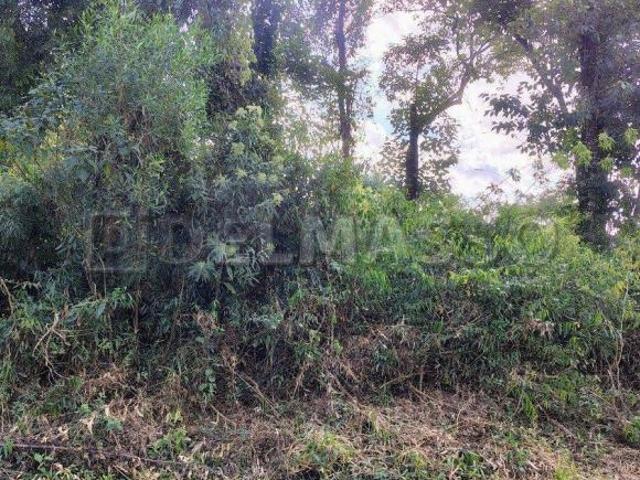 Terreno venda em Região Imediata de Sorocaba, Região Metropolitana de Sorocaba
