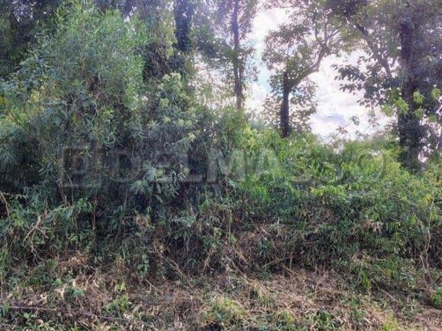 Terreno venda em Região Imediata de Sorocaba, Região Metropolitana de Sorocaba