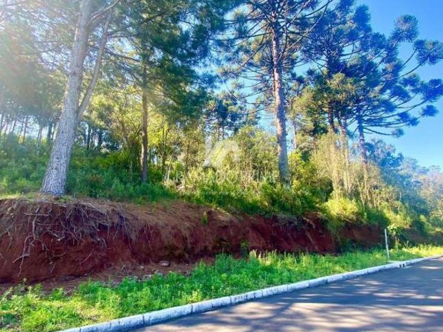 Terreno venda em Região Geográfica Imediata de Caxias do Sul, Gramado