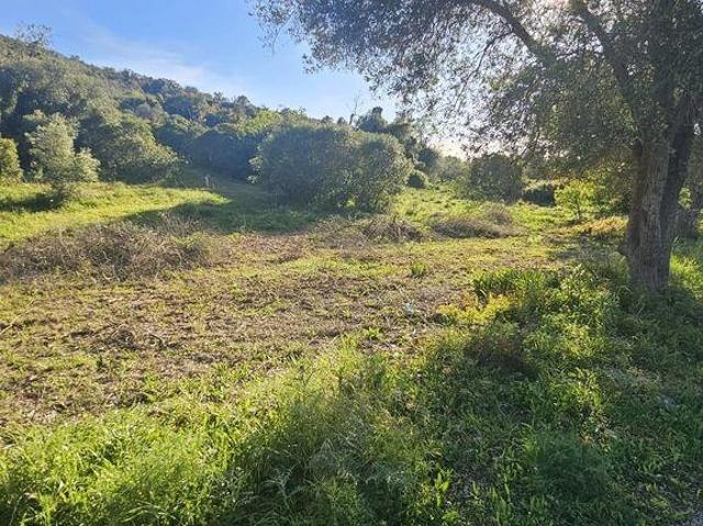 Terreno venda em Loulé, Faro