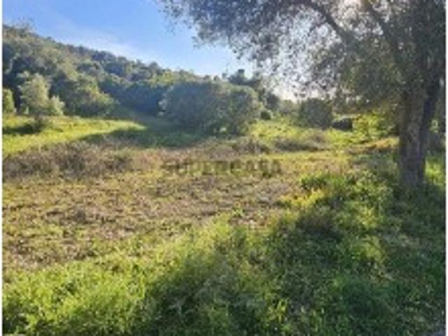 Terreno venda em Loulé, Faro