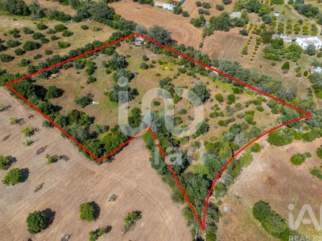 Terreno venda em Loulé, Faro