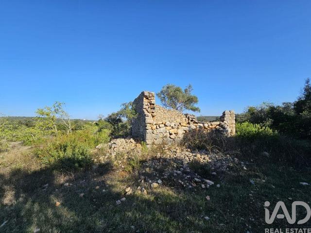 Terreno venda em Paixanito, Loulé