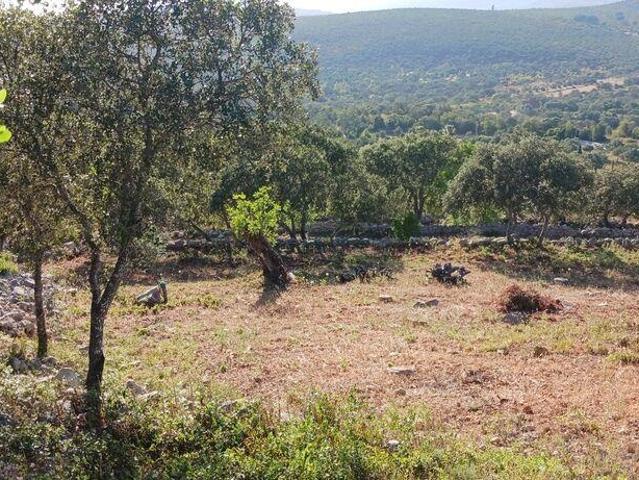 Terreno venda em Vale Telheiro, Loulé