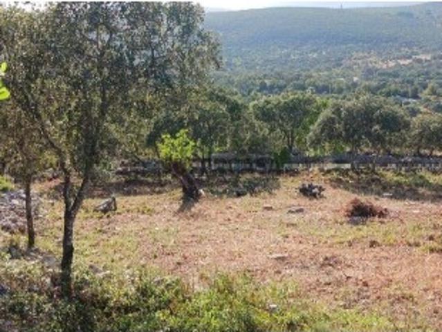 Terreno venda em Lagos, Faro