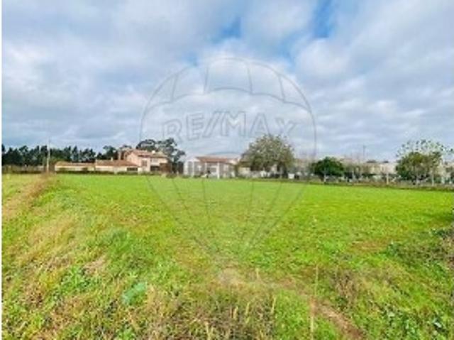 Terreno venda em Oliveira De Azeméis, Aveiro