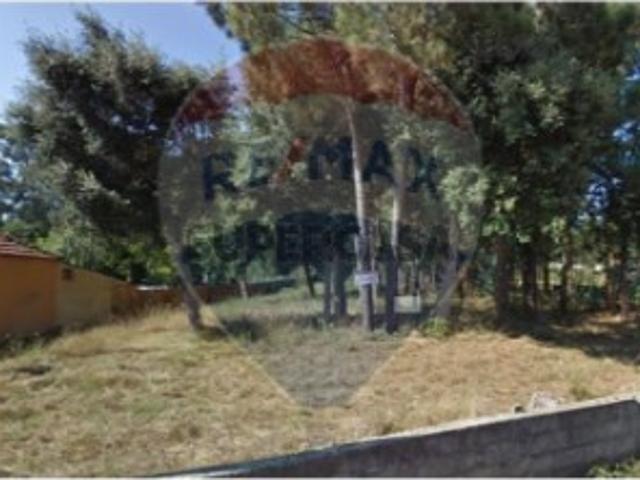 Terreno venda em Oliveira De Azeméis, Aveiro