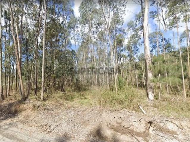 Terreno venda em Oliveira De Azeméis, Aveiro