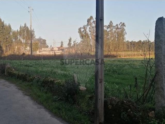 Terreno venda em Loureiro, Oliveira de Azeméis
