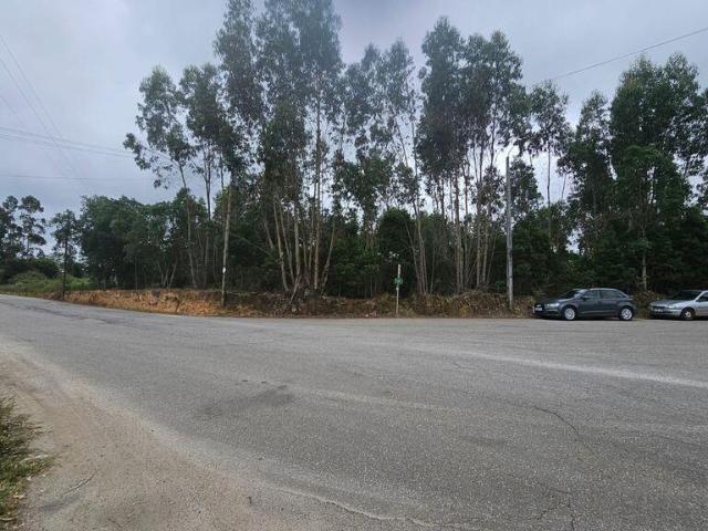 Terreno venda em Arrôta, Oliveira De Azeméis