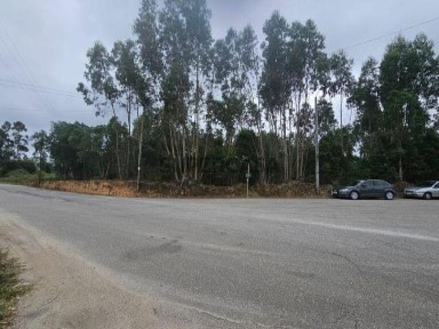 Terreno venda em Arrôta, Oliveira De Azeméis