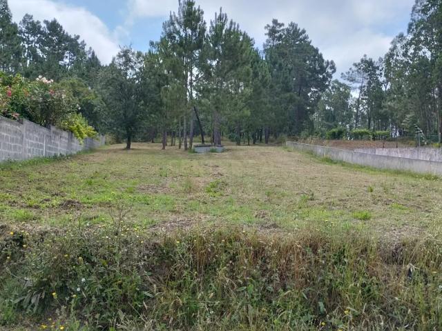 Terreno venda em Soure, Coimbra