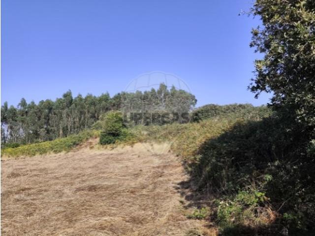 Terreno venda em Santiago Dos Velhos, Lisboa
