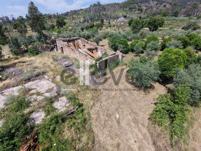 Terreno venda em Castelo Branco