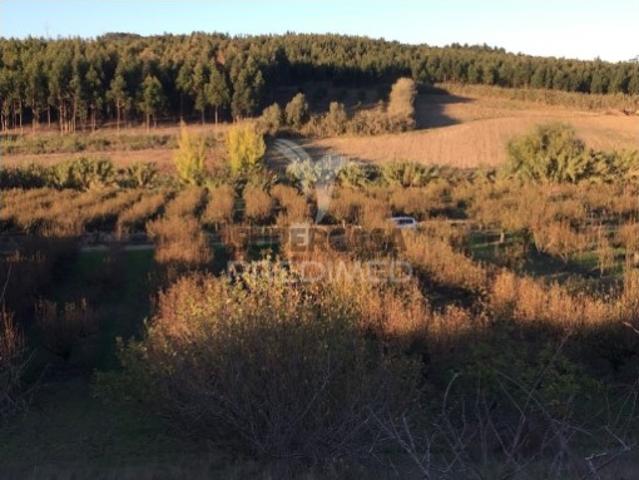 Terreno venda em Lourinhã, Lisboa