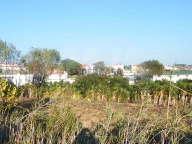 Terreno venda em Lourinhã, Lisboa